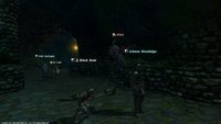FFXIV_1302966046.jpg