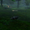 ffxiv_1293736459