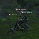 ffxiv_1304445388