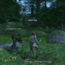 ffxivgame2010-09-0213-28-01-85