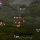 ffxivgame2010-09-0220-58-58-06