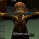 ffxivgame2010-12-1820-46-59-01