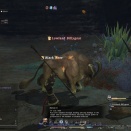 ffxivgame2010-12-2822-32-36-02