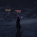 ffxiv_1339951093