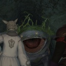 ffxiv-2013-06-14-20-17-43-72