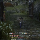 ffxiv-2013-06-15-17-33-48-14