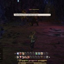 ffxiv-2013-06-16-01-58-02-50