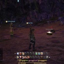 ffxiv-2013-06-16-02-01-19-21