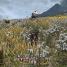 ffxiv_20130615_010554