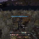 ffxiv_20130615_171341