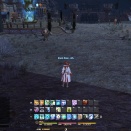 ffxiv_20130629_163006