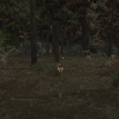 ffxiv_20130705_152138