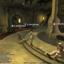 ffxiv_2010_006