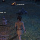 ffxiv_2010_014