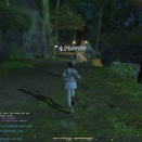 ffxiv_2010_016