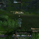 ffxiv_2010_017