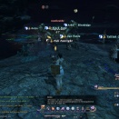 ffxiv_2010_024