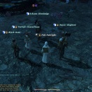 ffxiv_2010_025