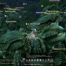 ffxiv_2010_030