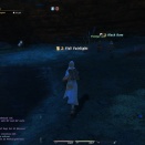 ffxiv_2010_032