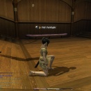 ffxiv_2010_035