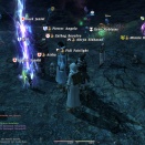 ffxiv_2010_042