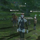 ffxiv_2010_044