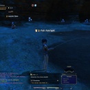 ffxiv_2010_057