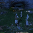 ffxiv_2010_059