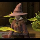 ffxiv_2010_077