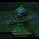 ffxiv_2010_080