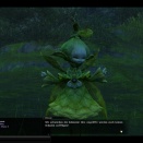 ffxiv_2010_081