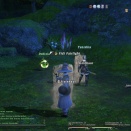 ffxiv_2010_088