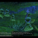 ffxiv_2010_090