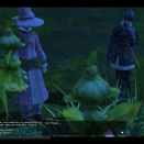 ffxiv_2010_091