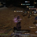 ffxiv_2010_100