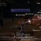 ffxiv_2010_103