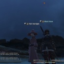 ffxiv_2010_105