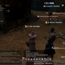 ffxiv_2010_107