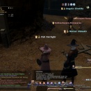 ffxiv_2010_107