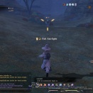 ffxiv_2010_109