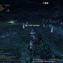 ffxiv_2010_110