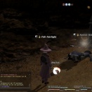 ffxiv_2010_112