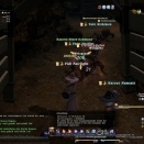 ffxiv_2010_113