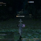 ffxiv_2010_119