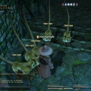 ffxiv_2010_120