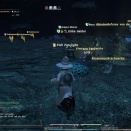 ffxiv_2010_131