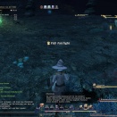 ffxiv_2010_133