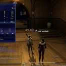 ffxiv_2010_137