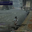 ffxiv_2010_140